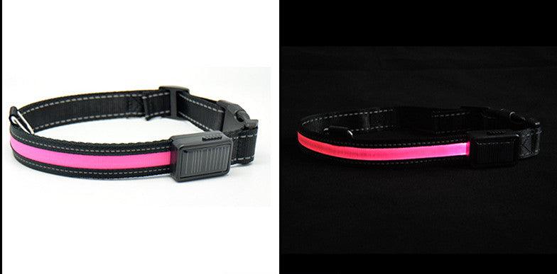 SolarPup LED Dog Collar – USB Rechargeable, Reflective, 3 Light Modes, Sizes S–L