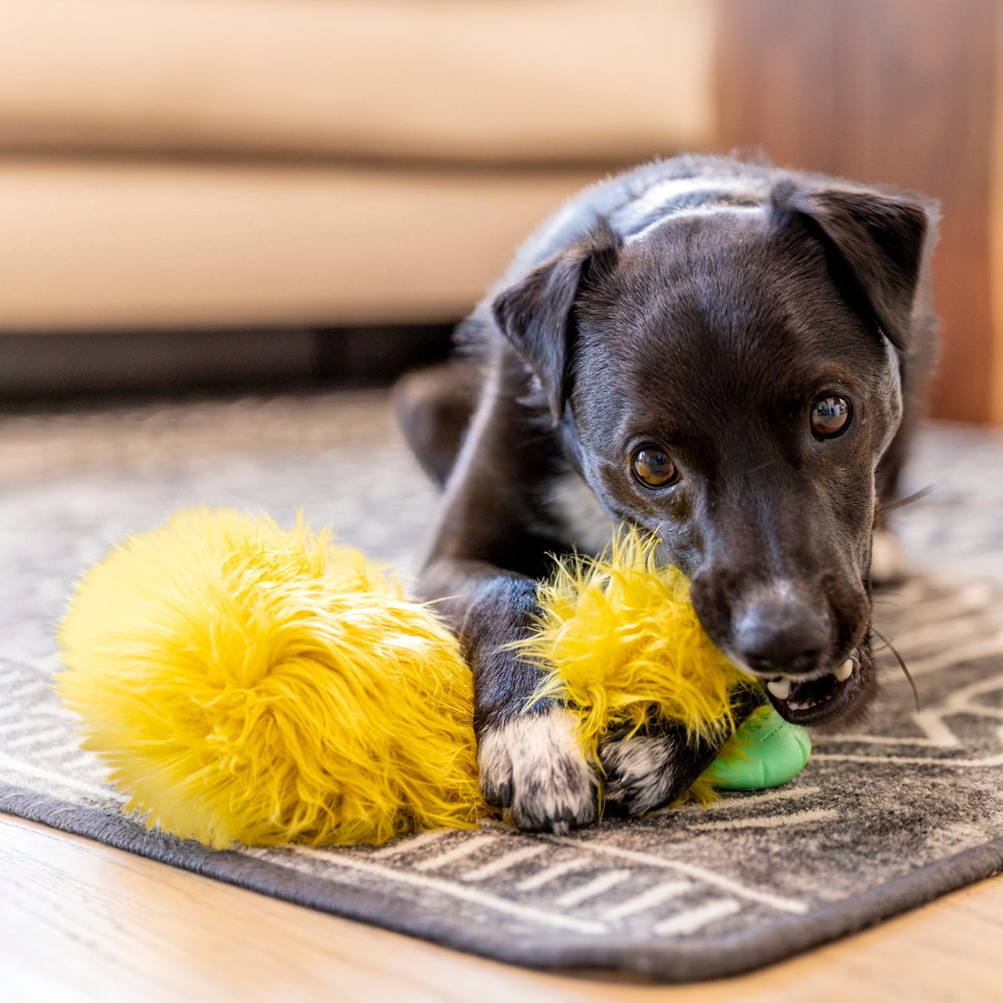 West Paw Astrid Rowdie Dog Plush Toy – Reinforced Fabric, Chew-Tough | Eco-Friendly | 3 Colors
