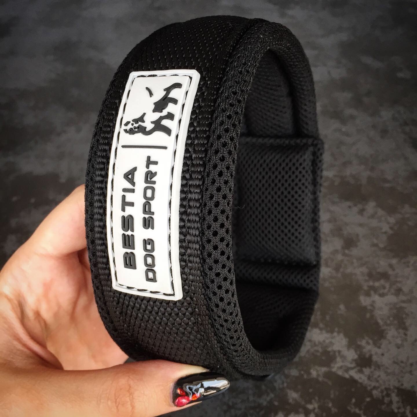 BESTIA Dog Sport Fast Release Collar – 2-Inch Heavy-Duty Dog Collar