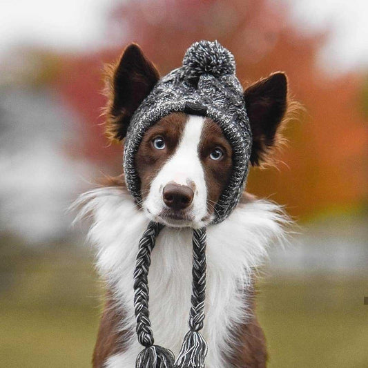 Fluffy Pom Knitted Dog Hat — Winter Style