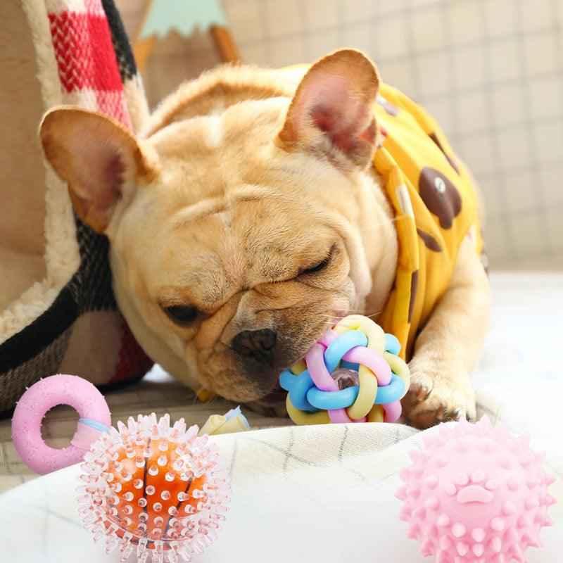 Chewable Rubber Dog Toy — Star, Ring & Ball Shapes