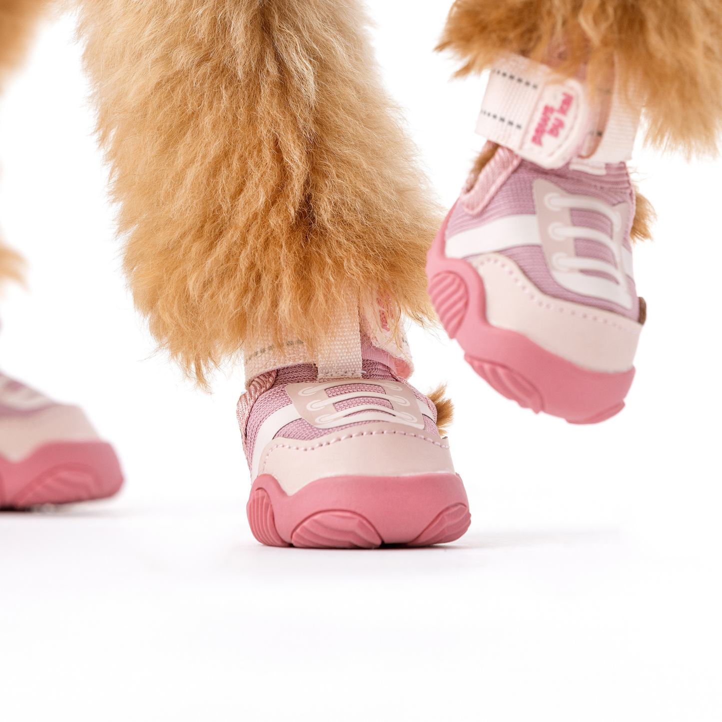 The Kai Dog Sneaker – All-Season Sport Shoes for Dogs