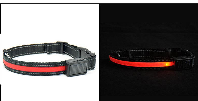 SolarPup LED Dog Collar – USB Rechargeable, Reflective, 3 Light Modes, Sizes S–L
