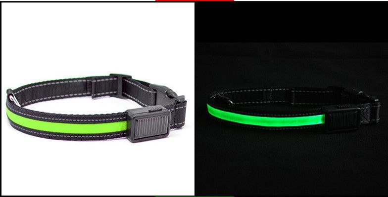 SolarPup LED Dog Collar – USB Rechargeable, Reflective, 3 Light Modes, Sizes S–L