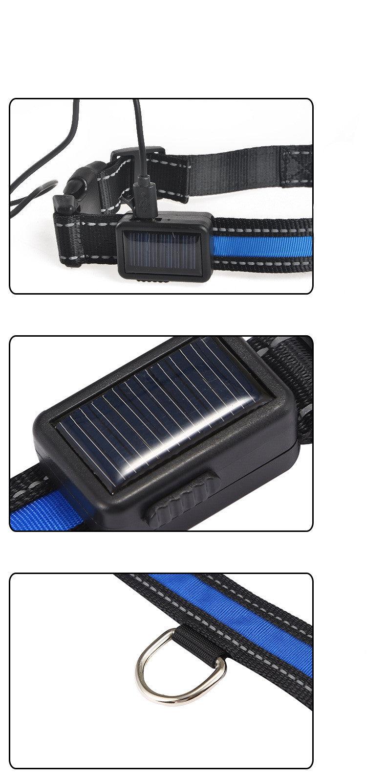 SolarPup LED Dog Collar – USB Rechargeable, Reflective, 3 Light Modes, Sizes S–L