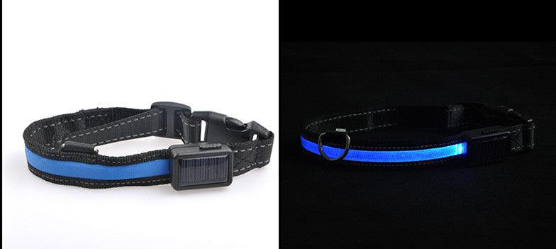 SolarPup LED Dog Collar – USB Rechargeable, Reflective, 3 Light Modes, Sizes S–L
