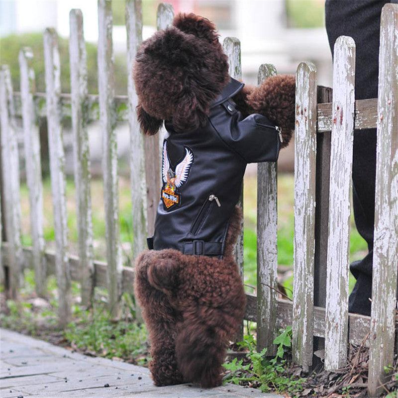 Luxury Faux Leather Dog Coat – Warm Lining, Black & Brown, Sizes XS–XXL