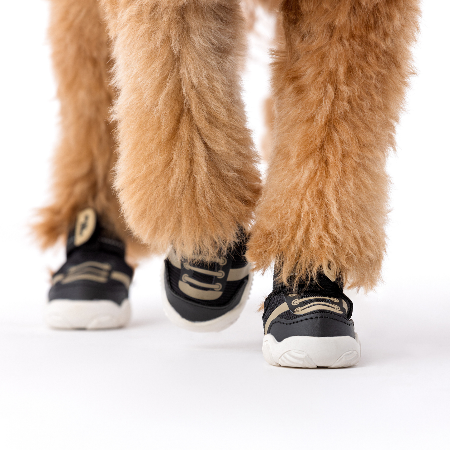 The Kai Dog Sneaker – All-Season Sport Shoes for Dogs