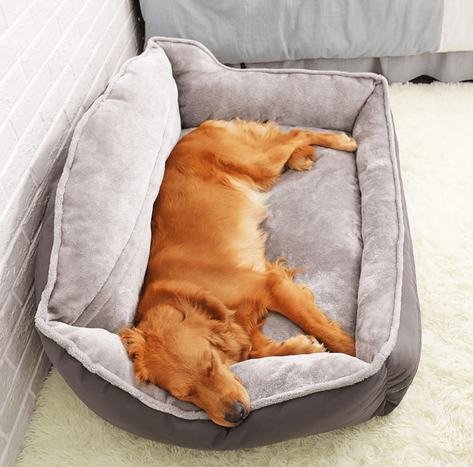 Luxury Plush Dog Sofa Bed – Machine-Washable, Raised Sides, Sizes S–XL