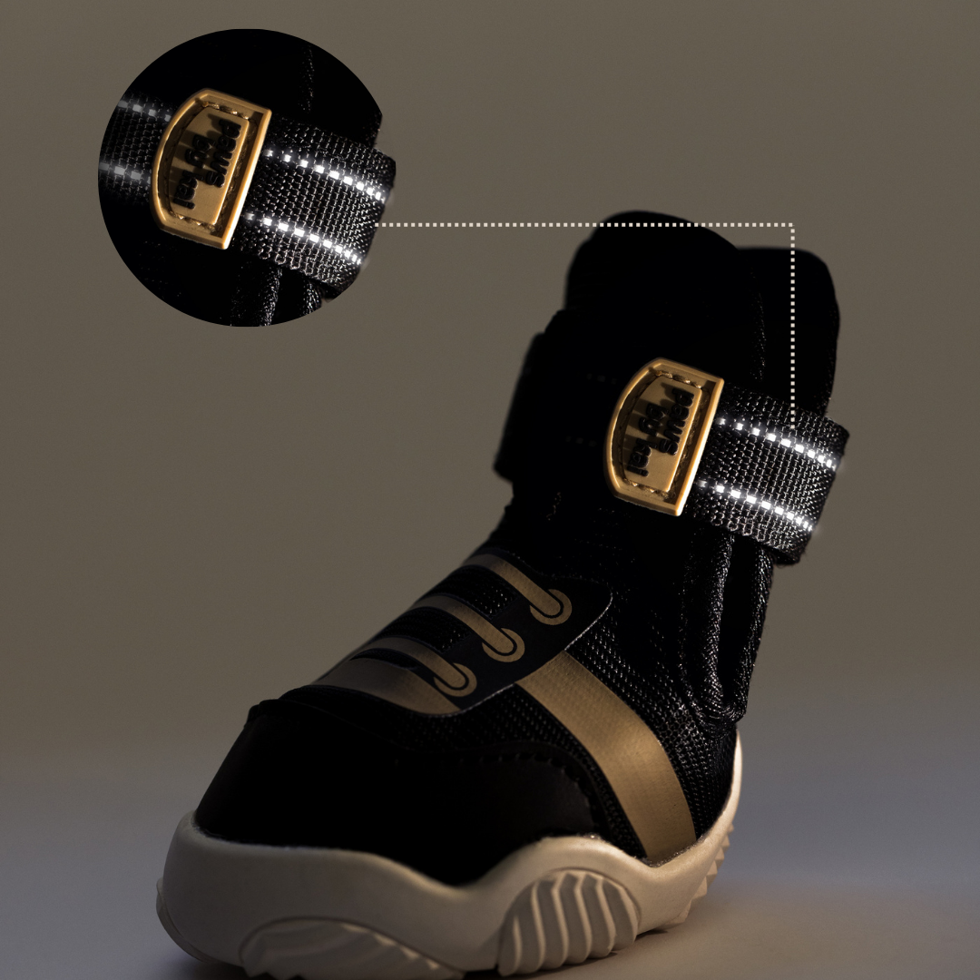 The Kai Dog Sneaker – All-Season Sport Shoes for Dogs