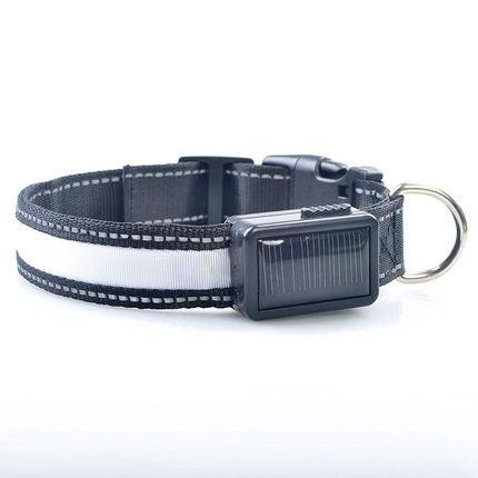 SolarPup LED Dog Collar – USB Rechargeable, Reflective, 3 Light Modes, Sizes S–L