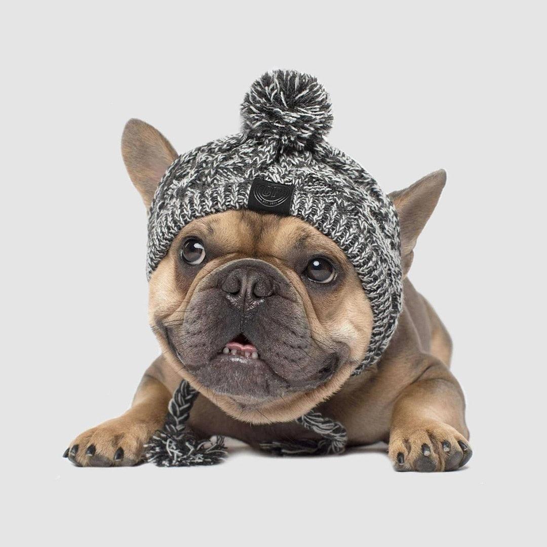 Fluffy Pom Knitted Dog Hat — Winter Style