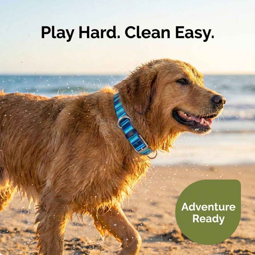 Waterproof Dog Collars – Washable Dog Collar, Stink-Proof & Durable
