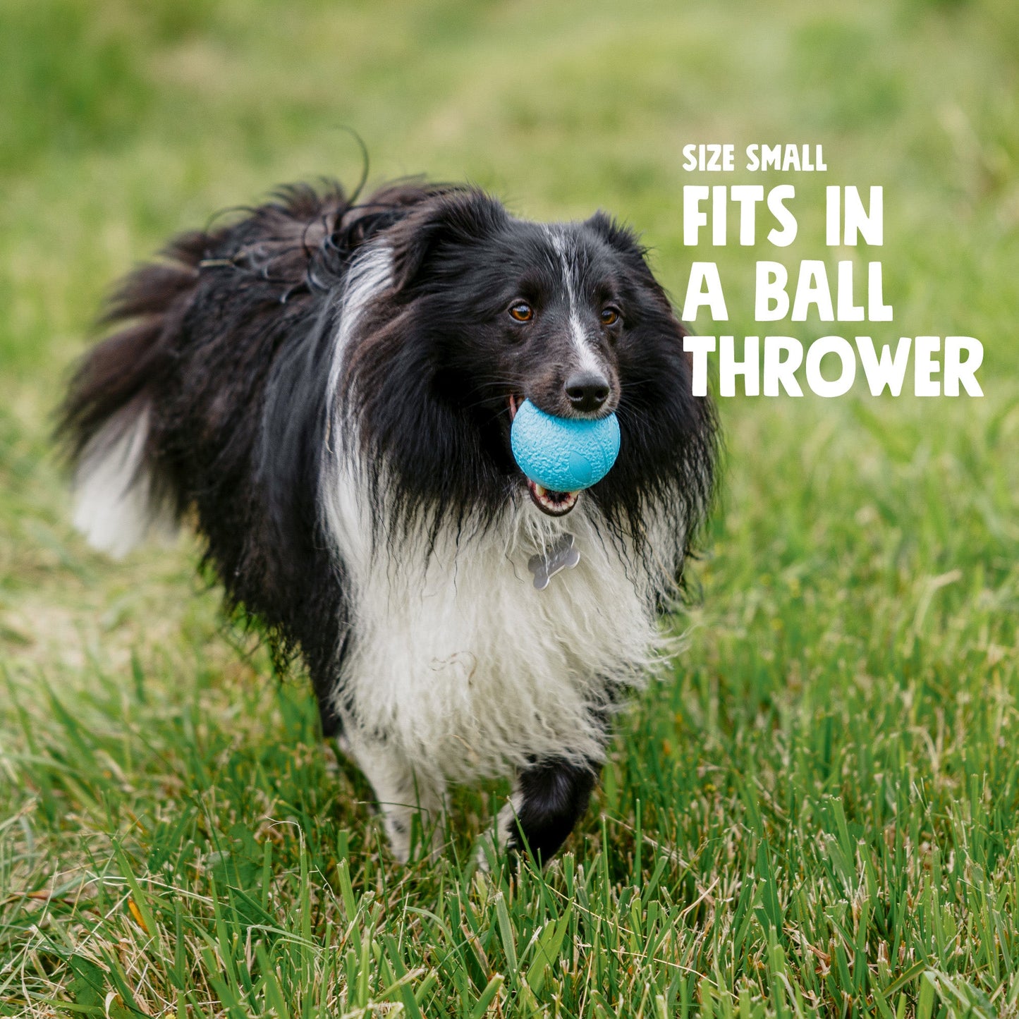 West Paw Boundr Dog Ball – Hollow Core, Tougher Than Tennis | Fetch, Chew & Float | S & L
