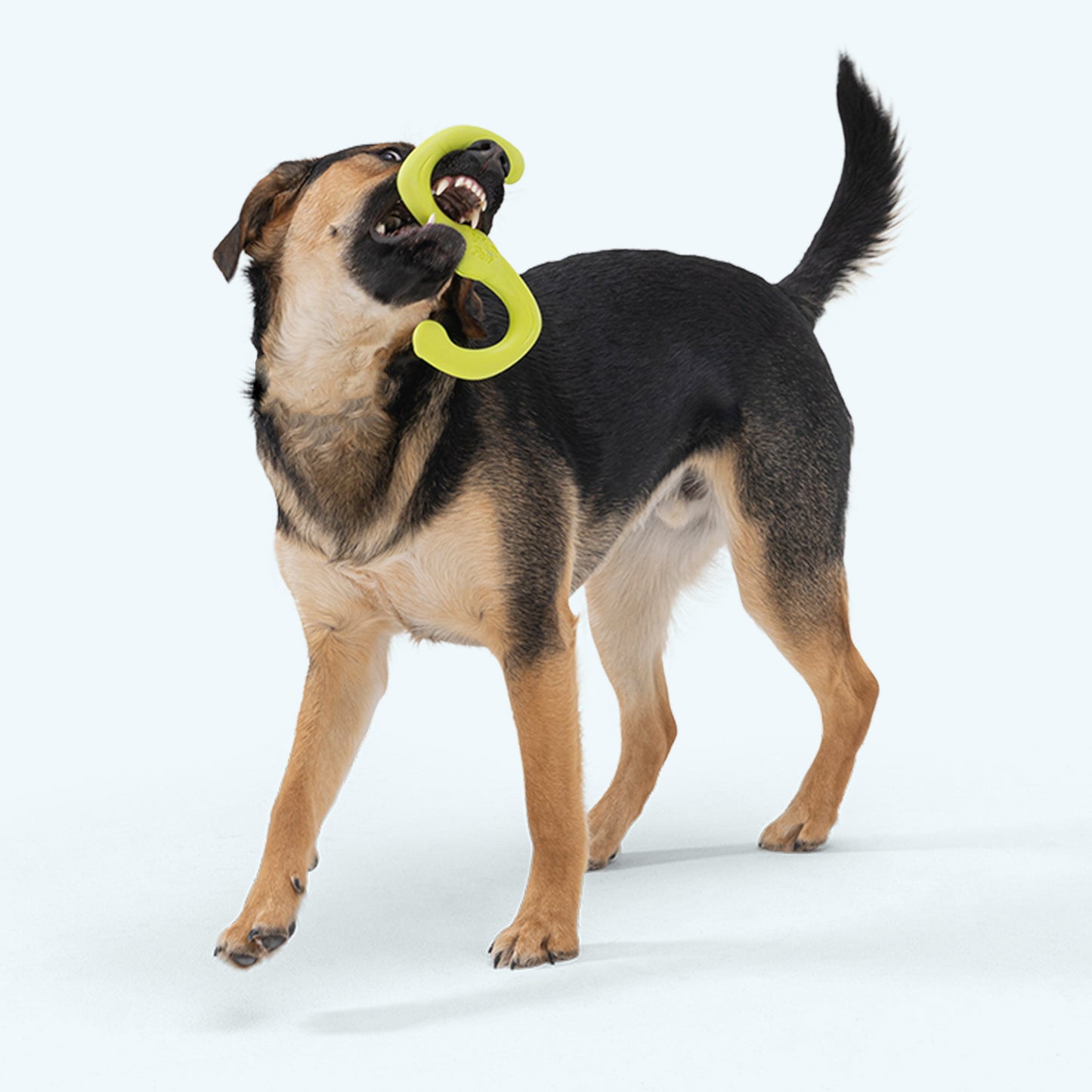 West Paw Bumi Dog Tug Toy – Ruby | Stretches to 2x Its Length | S-Shape Fetch & Tug | S & L