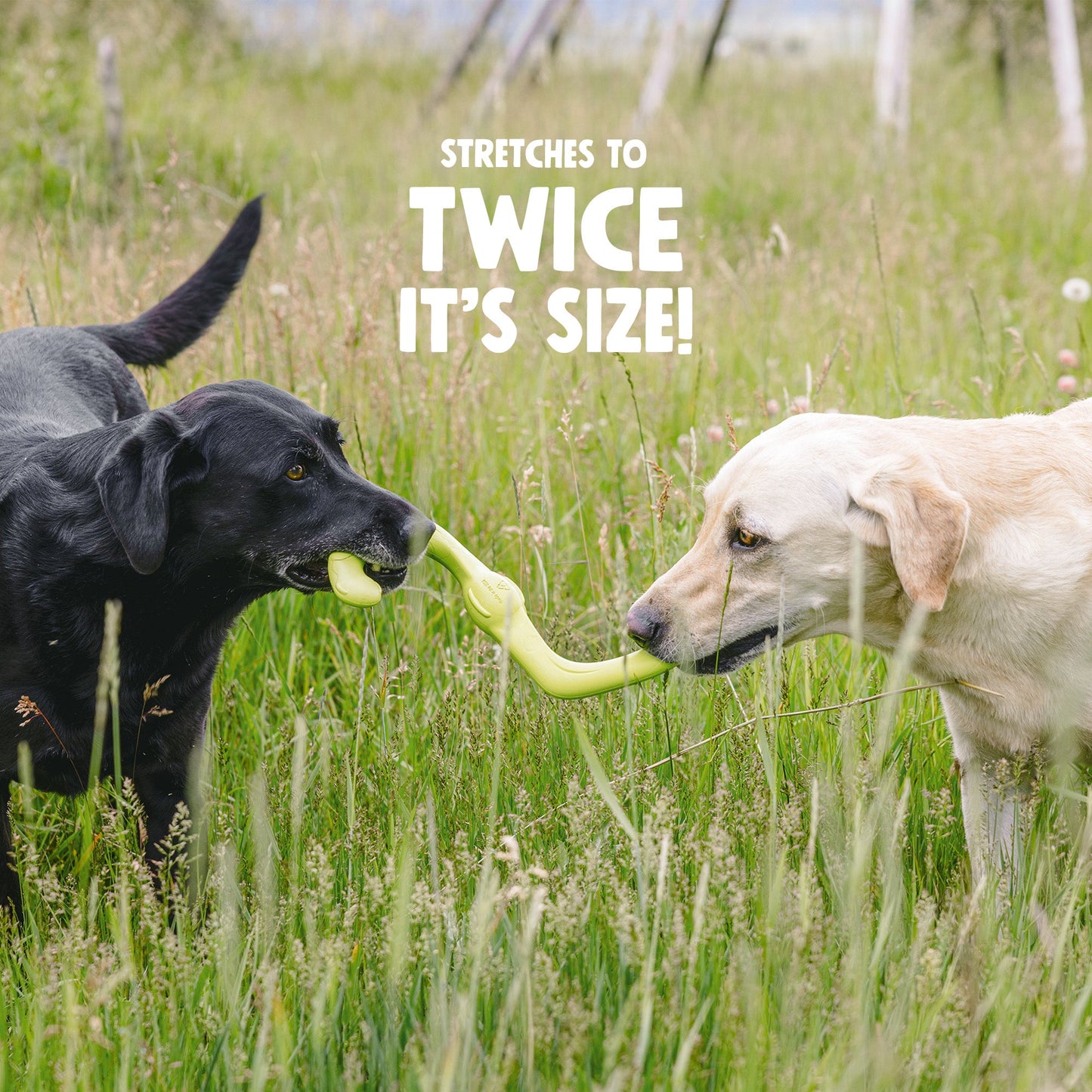 West Paw Bumi Dog Tug Toy – Stretches to 2x Its Length | S-Shape Fetch & Tug | S & L