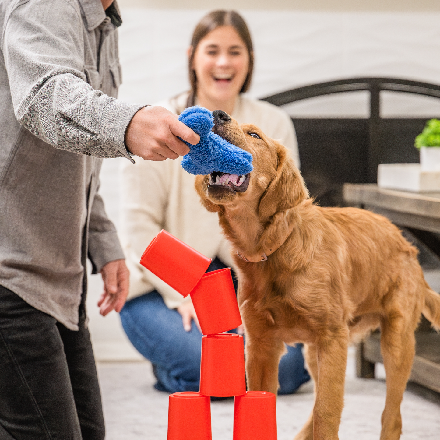 West Paw The Dog’s Best Friend Game – Family Card Game for Dogs & Their Humans