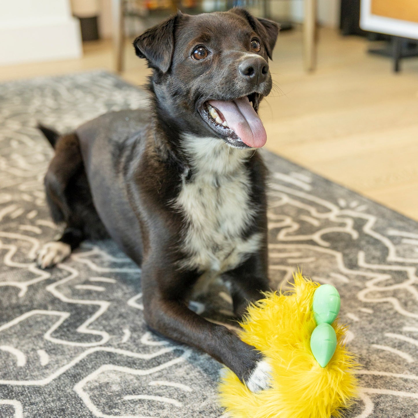 West Paw Rolf Rowdie Dog Plush Toy – Reinforced Fabric, Chew-Tough | Eco-Friendly | 3 Colors