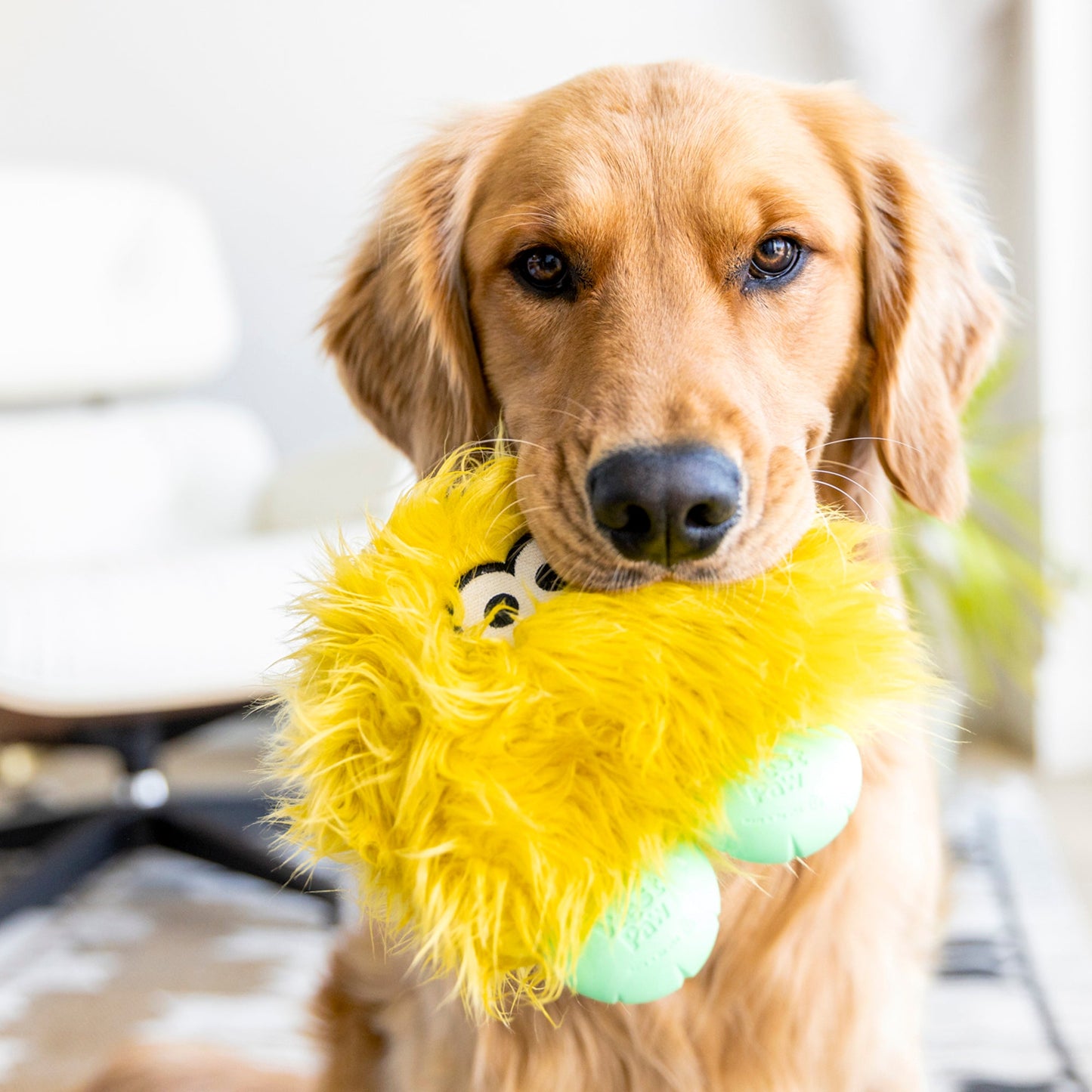 West Paw Rolf Rowdie Dog Plush Toy – Reinforced Fabric, Chew-Tough | Eco-Friendly | 3 Colors