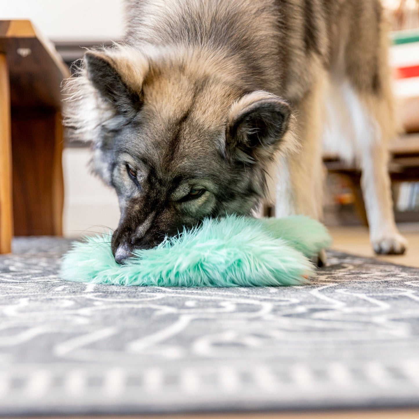 West Paw Bjorn Rowdie Dog Plush Toy – Reinforced Fabric, Chew-Tough | Eco-Friendly | 3 Colors