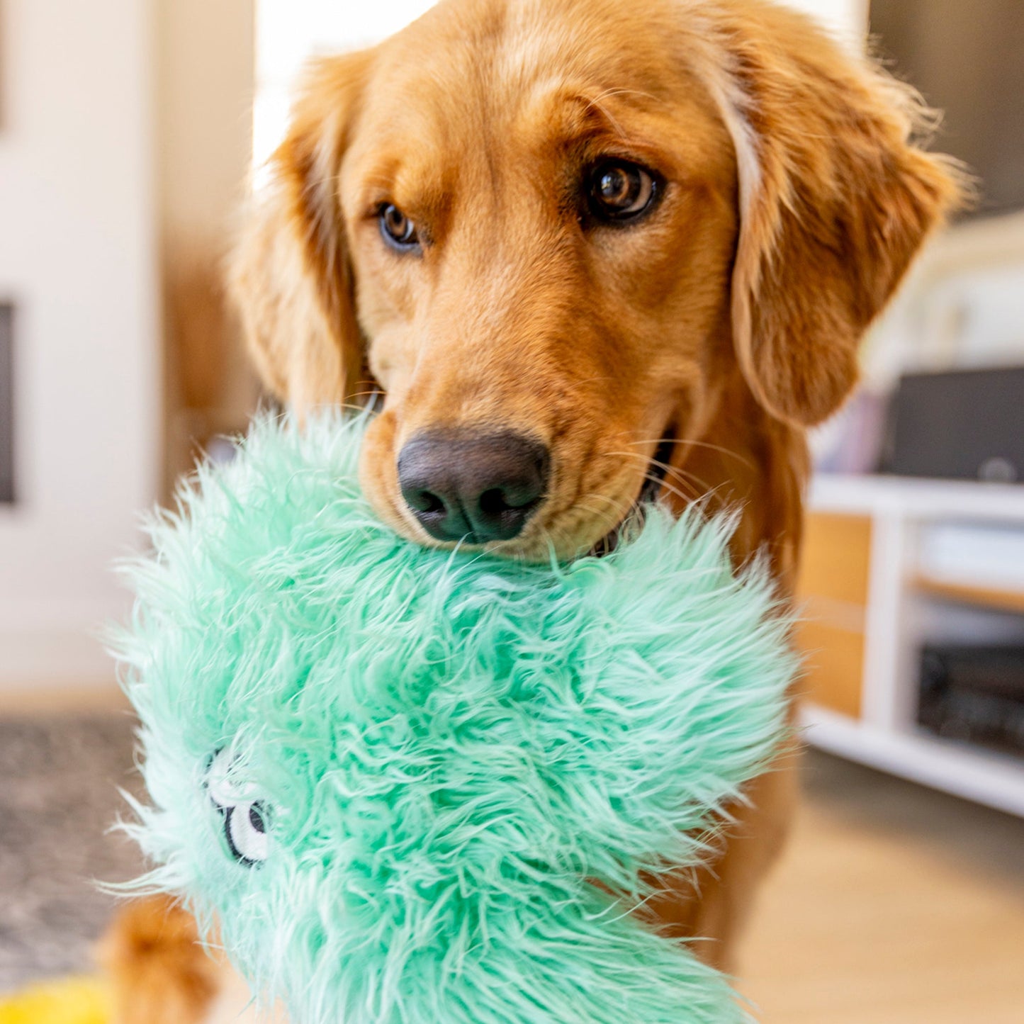 West Paw Helga Rowdie Dog Plush Toy – Reinforced Fabric, Chew-Tough | Eco-Friendly | 3 Colors