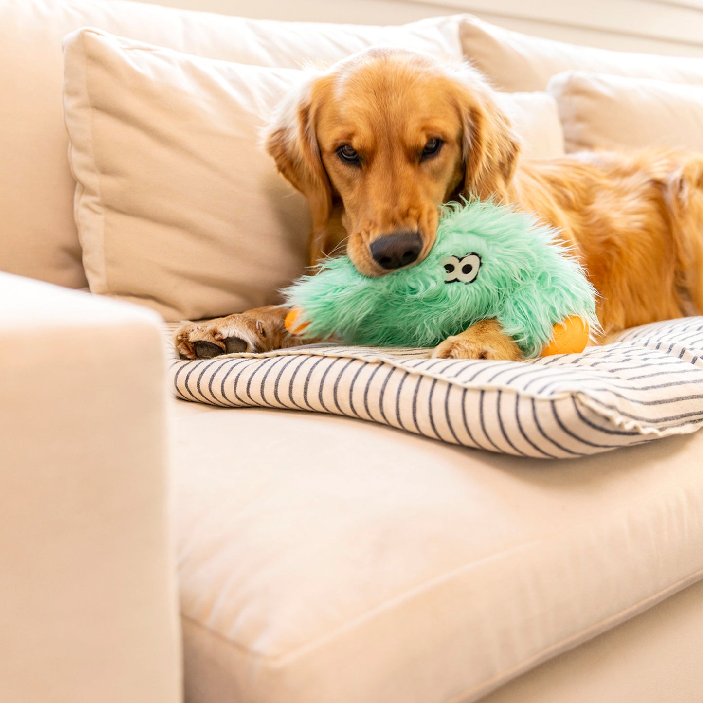 West Paw Helga Rowdie Dog Plush Toy – Reinforced Fabric, Chew-Tough | Eco-Friendly | 3 Colors