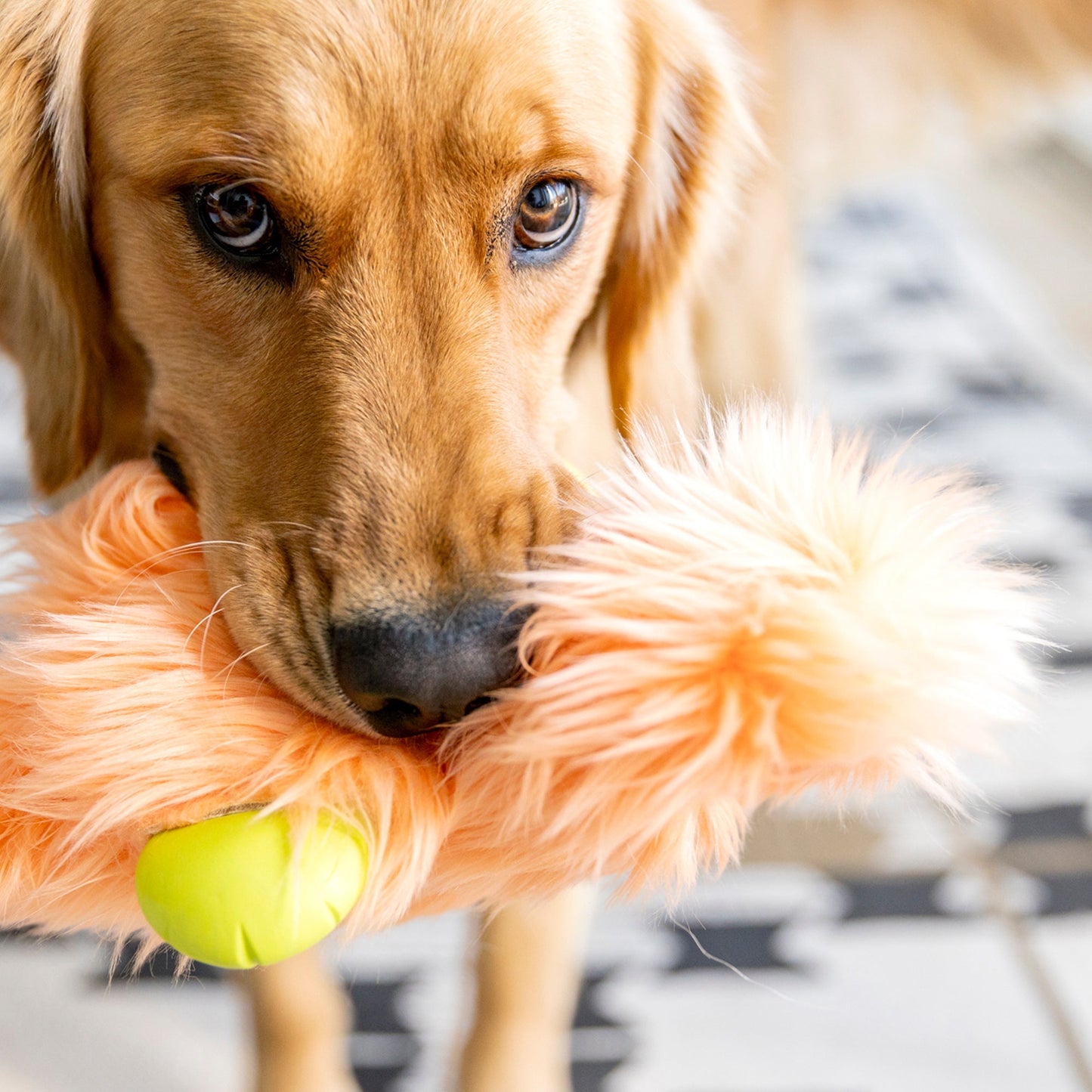 West Paw Olaf Rowdie Dog Plush Toy – Reinforced Fabric, Chew-Tough | Eco-Friendly | 3 Colors