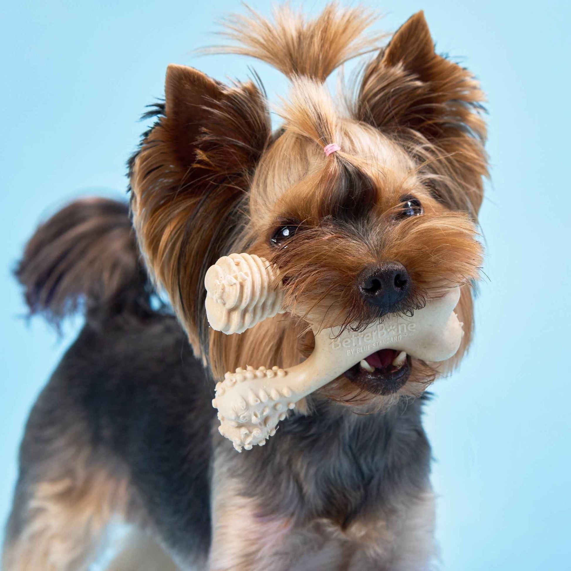 BetterBone SOFT Durability CHEW TOY: Natural Plant-Based Ingredients, Perfect for Teething Puppies, Senior Dogs & Gentle Chewers