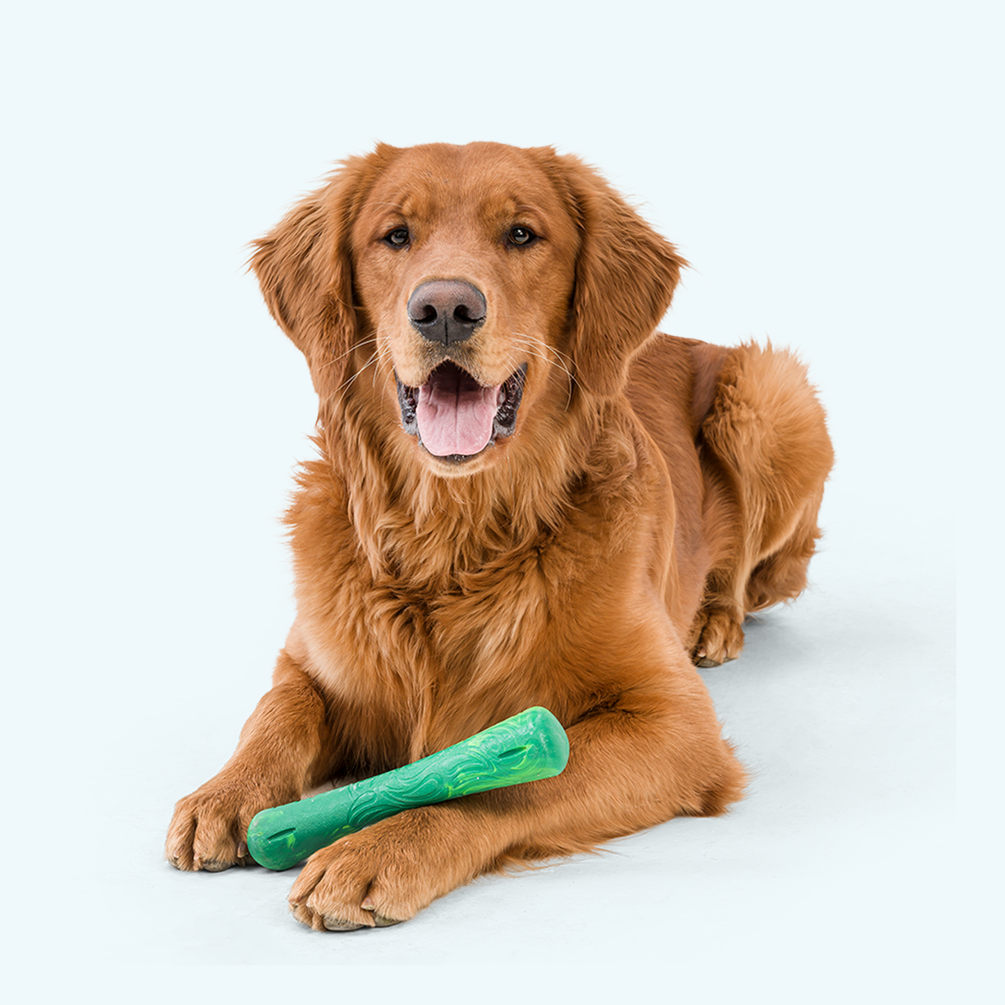 West Paw Drifty Dog Chew Toy – Dishwasher-Safe Bone | Seaflex™ Recycled Material | S & L