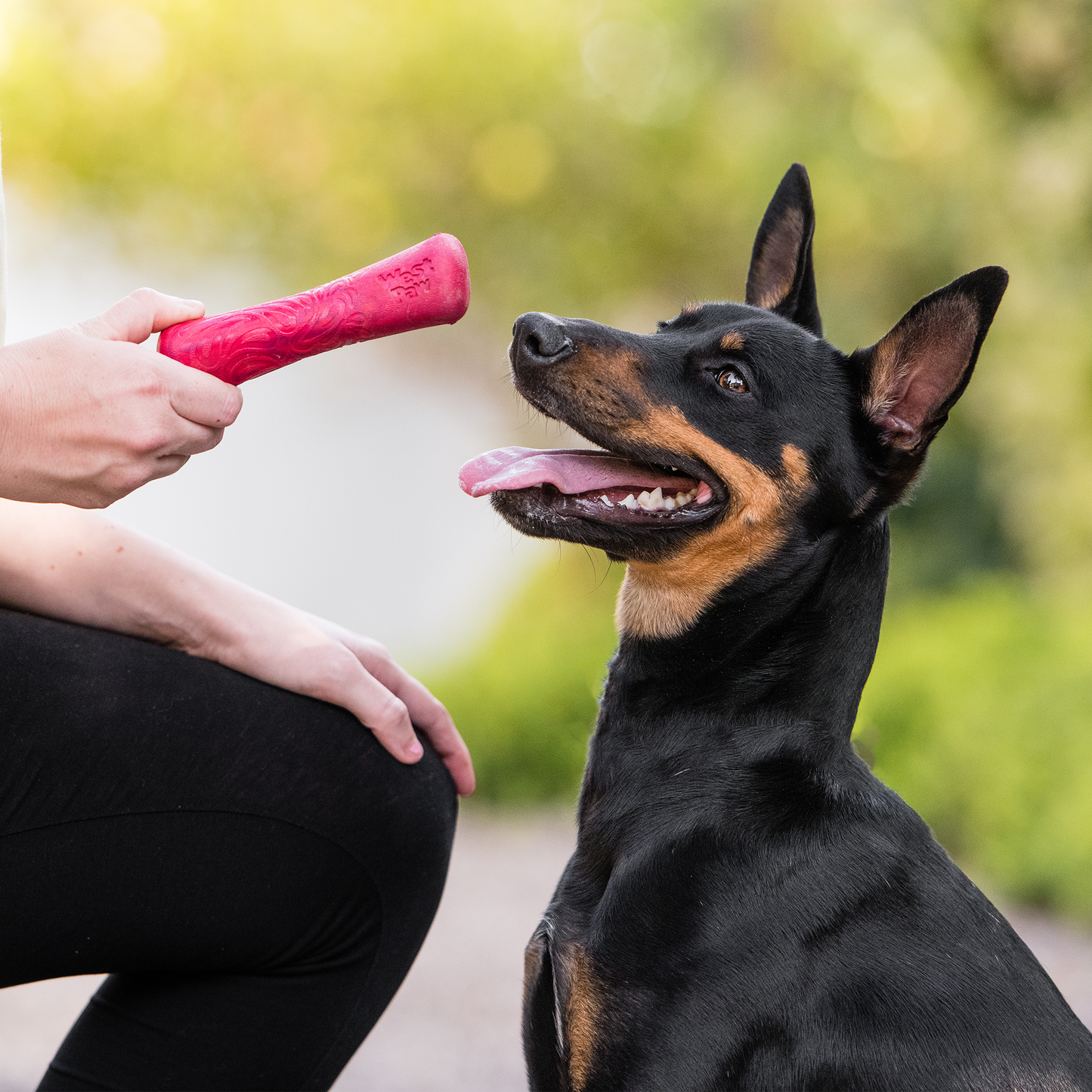 West Paw Drifty Dog Chew Toy – Dishwasher-Safe Bone | Seaflex™ Recycled Material | S & L