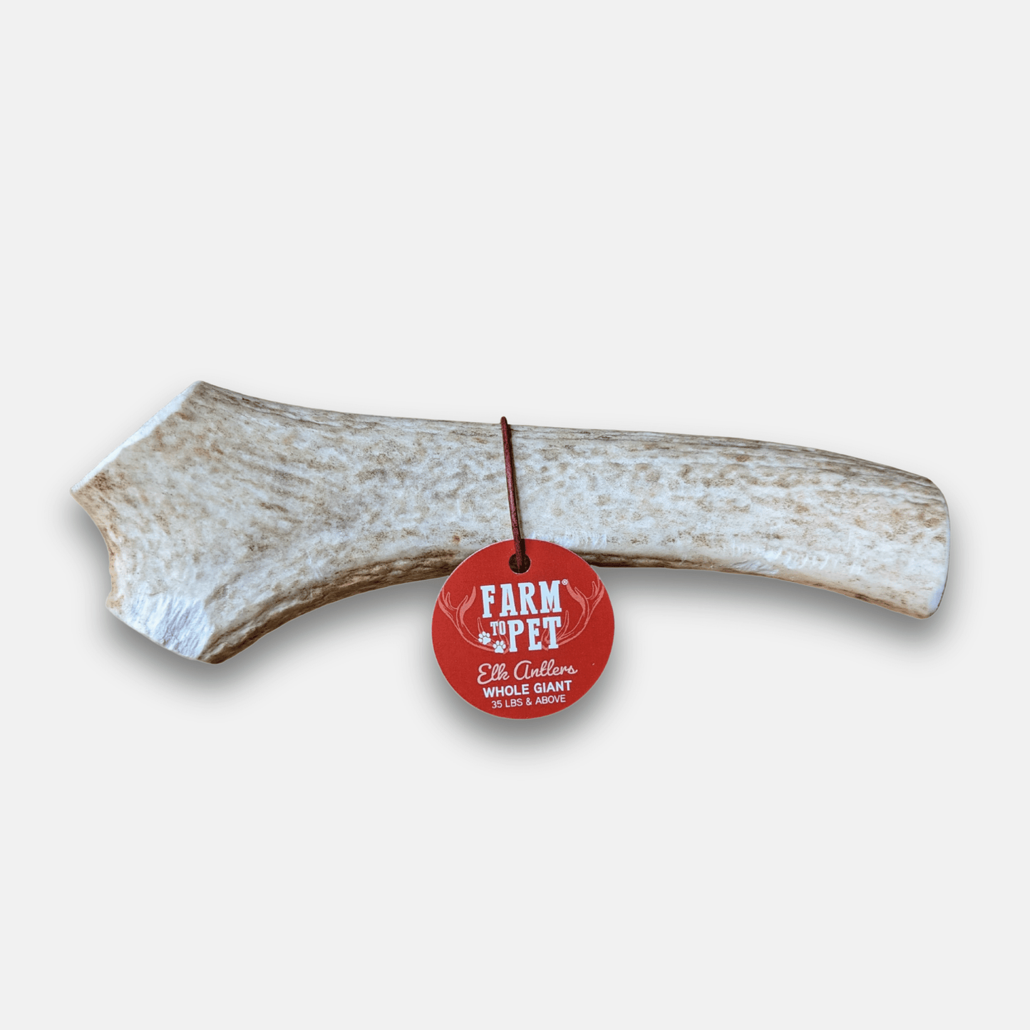 Elk Antler Dog Chews – Whole & Split | Splinter-Resistant, Non-Allergenic | Wild-Harvested Wyoming