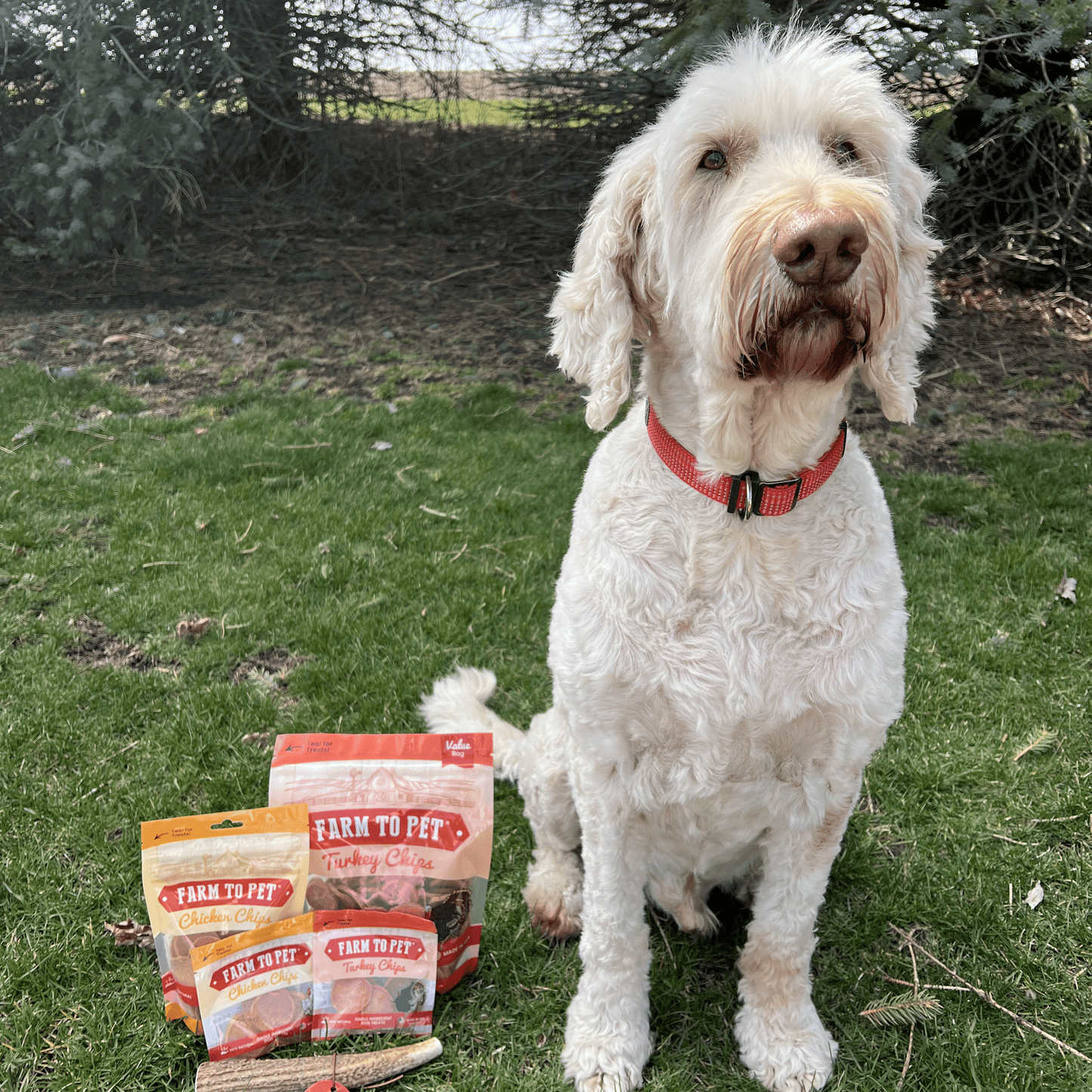 Farm to Pet E-Gift Card – $25, $50 or $100 | Instant Digital Delivery | Perfect Pet Gift