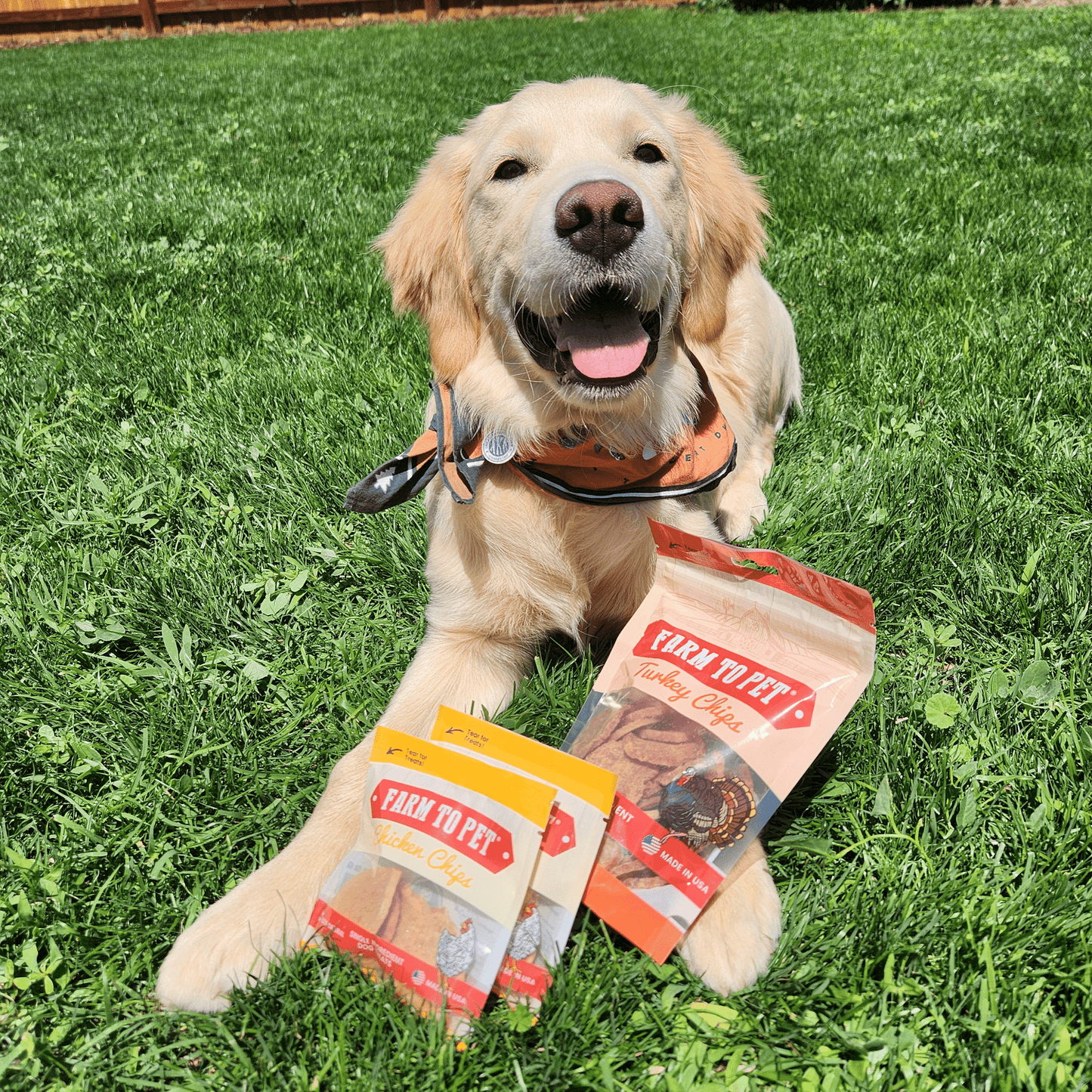 Puppy Packs – Dog Treat Starter Bundle | All 4 Flavors | Single-Ingredient | Made in USA
