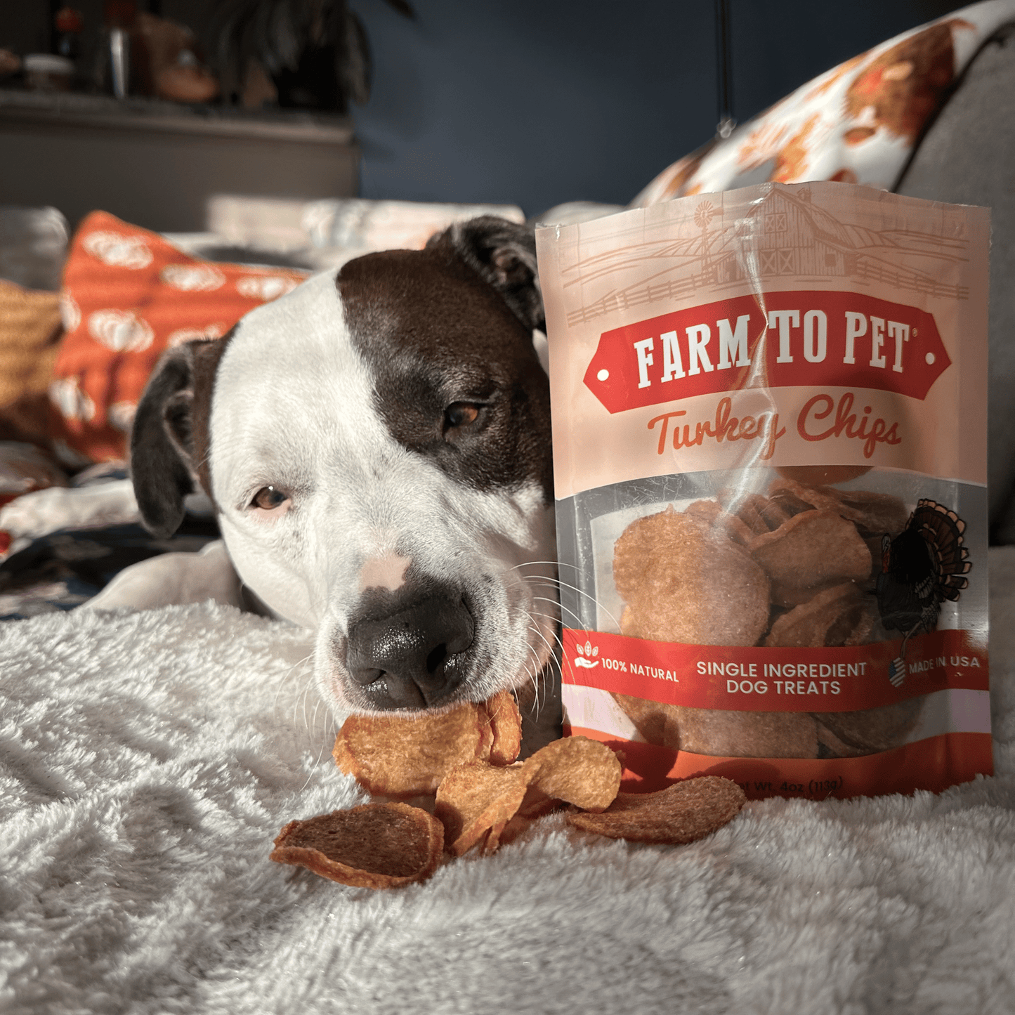 Turkey Chips for Dogs – Single-Ingredient, 85% Protein | Human-Grade | Made in USA