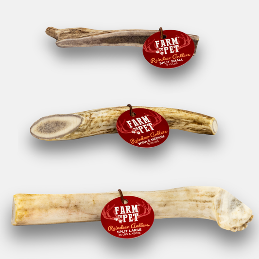 Reindeer Antler Dog Chews – Toughest Organic Chew | Whole & Split | Wild-Gathered Alaska