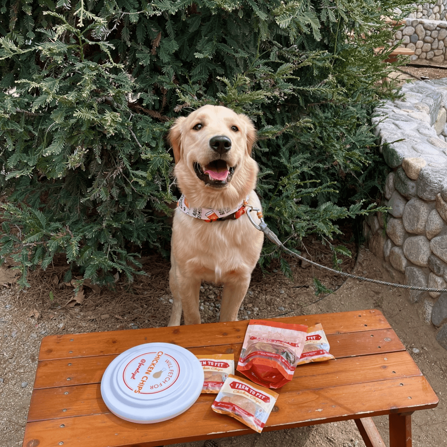 Farm to Pet Dog Frisbee – Chicken Chip-Shaped | Non-Toxic, Impact-Resistant | Made in USA