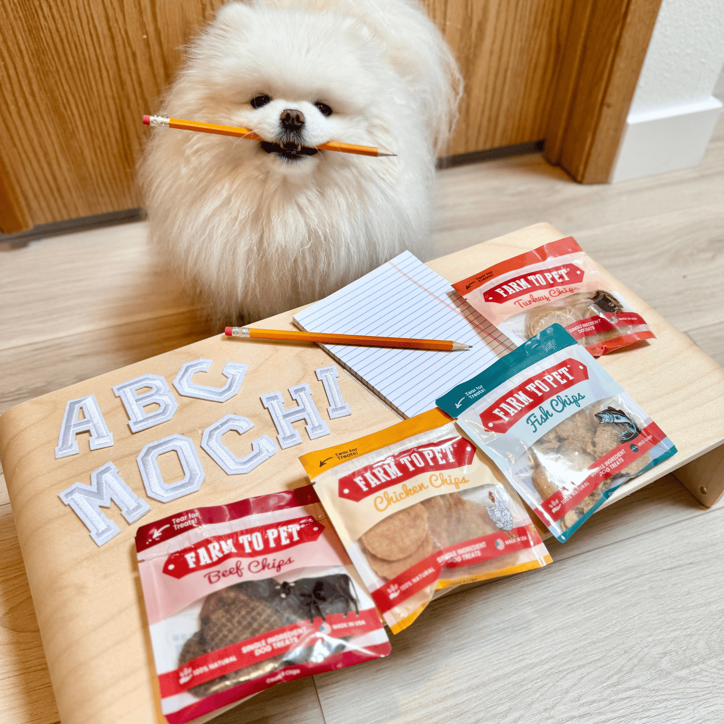 Dog Treat Sampler Snack Packs – All 4 Flavors | Chicken, Turkey, Beef & Fish | Made in USA
