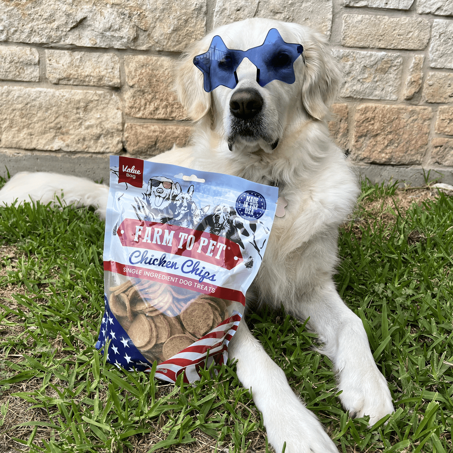 Americana Chicken Chips for Dogs – Single-Ingredient, Human-Grade | Made in USA