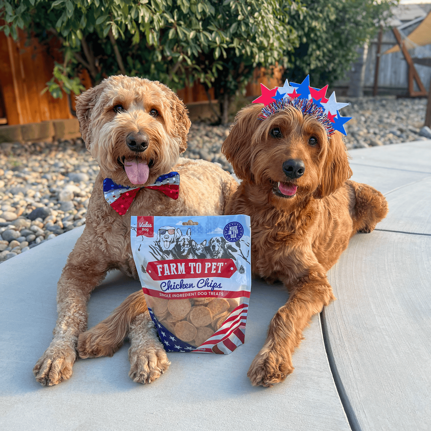 Americana Chicken Chips for Dogs – Single-Ingredient, Human-Grade | Made in USA