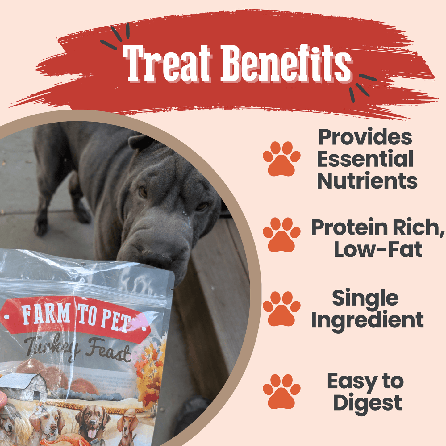 Turkey Feast Chips – Single-Ingredient, 85% Protein | Value 12oz | Human-Grade | Made in USA