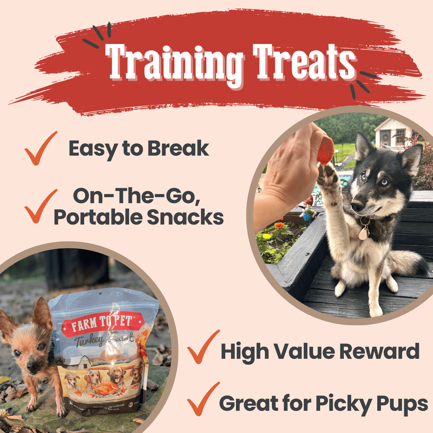 Turkey Feast Chips – Single-Ingredient, 85% Protein | Value 12oz | Human-Grade | Made in USA