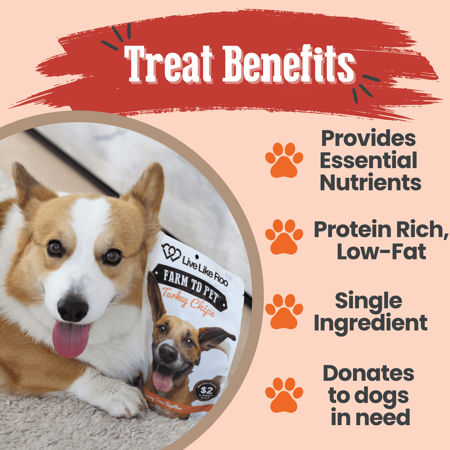 Live Like Roo Turkey Chips – Single-Ingredient Dog Treats That Give Back | $2 Donated Per Bag