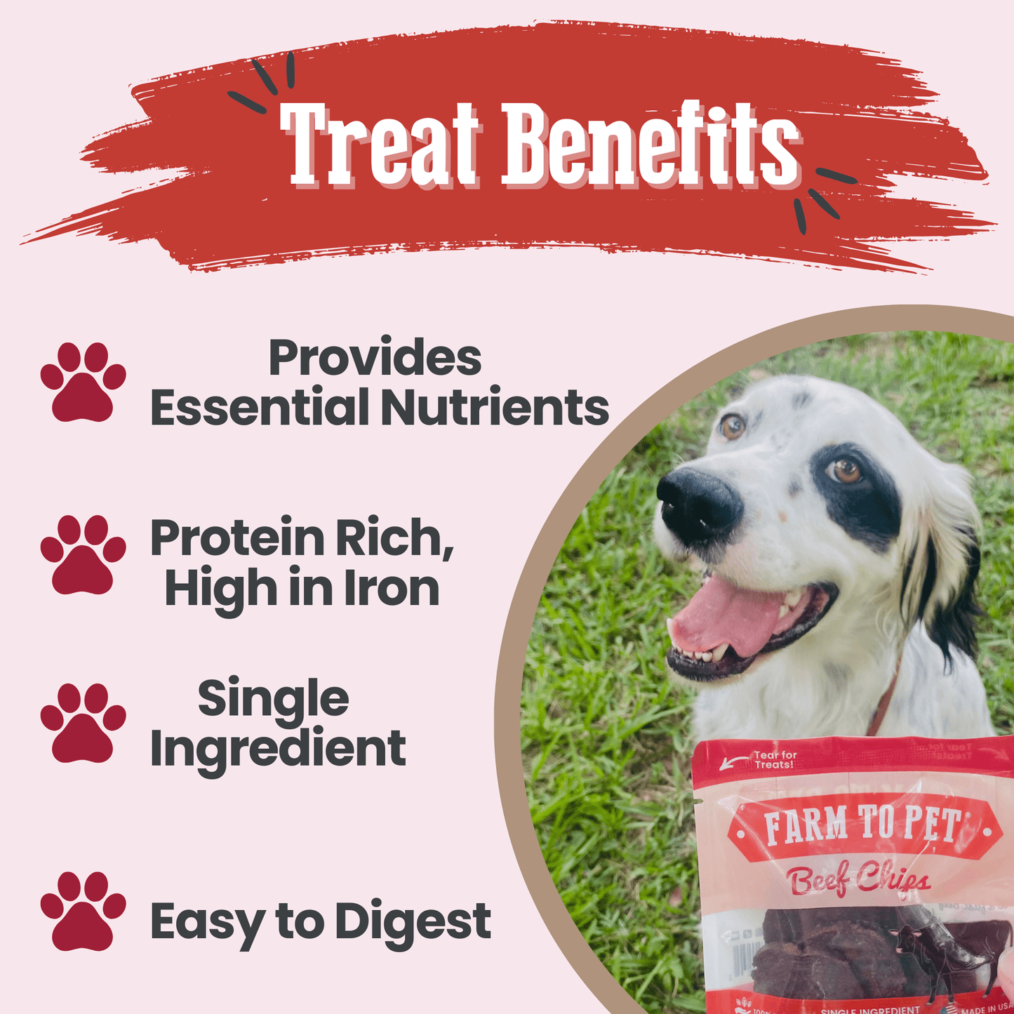 Beef Chips Snack Packs – Single-Ingredient Beef Dog Treats | Training & Travel