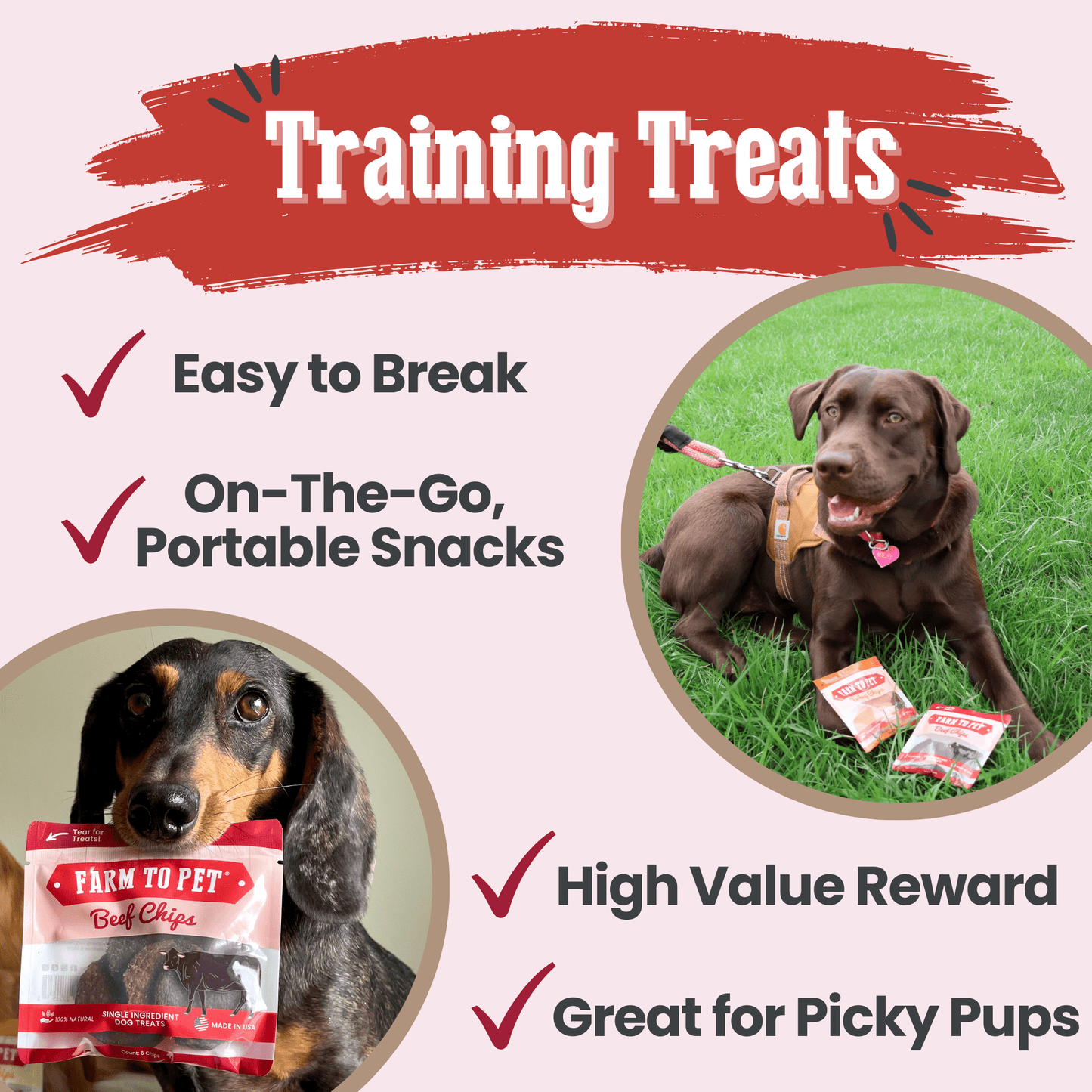 Beef Chips Snack Packs – Single-Ingredient Beef Dog Treats | Training & Travel