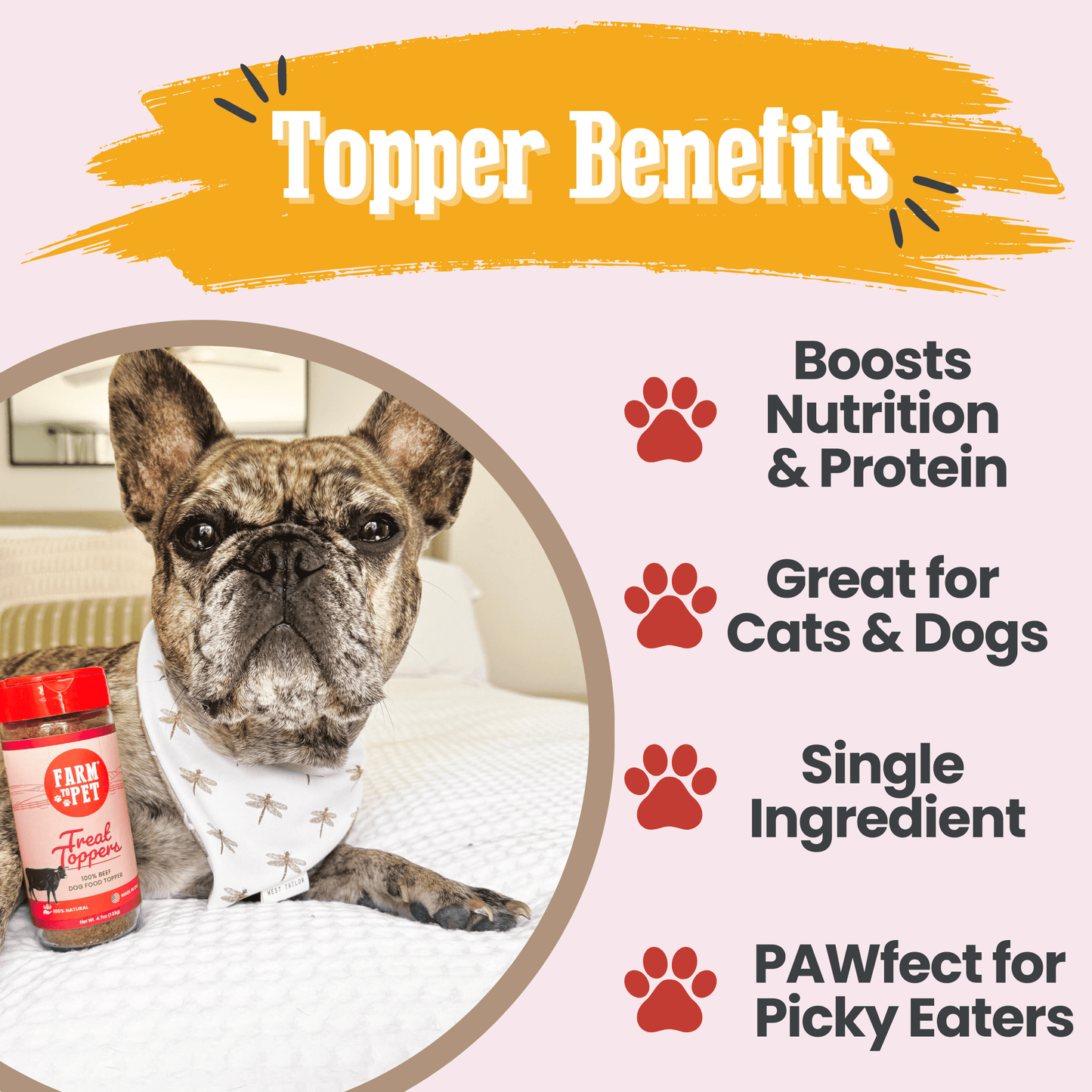 Beef Dog Food Topper – Single-Ingredient, 56% Protein | Human-Grade | Made in USA