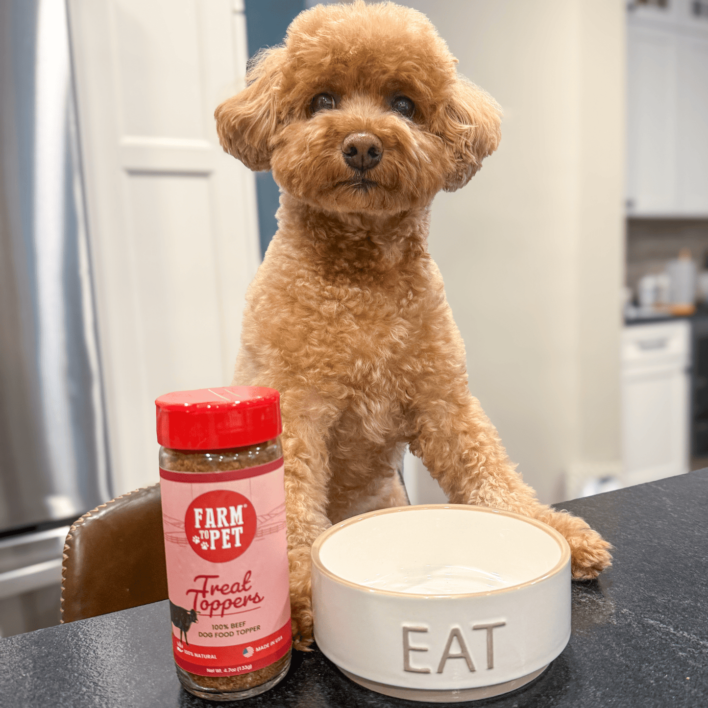 Beef Dog Food Topper – Single-Ingredient, 56% Protein | Human-Grade | Made in USA