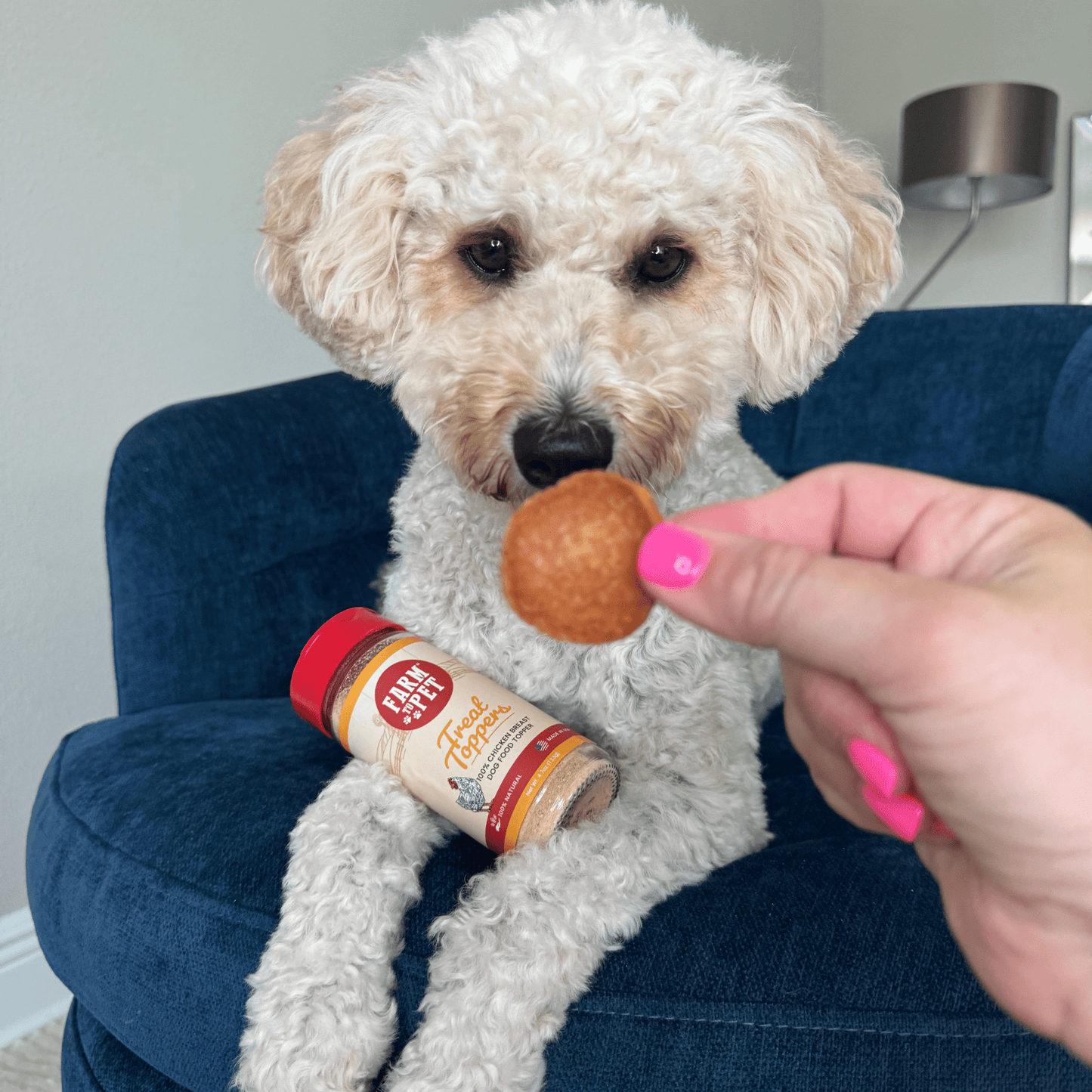 Chicken Dog Food Topper – Single-Ingredient, 80% Protein | Human-Grade | Made in USA
