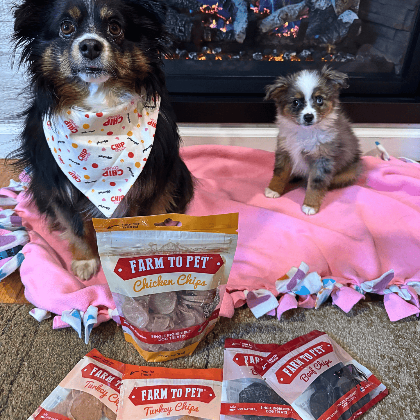 Puppy Packs – Dog Treat Starter Bundle | All 4 Flavors | Single-Ingredient | Made in USA