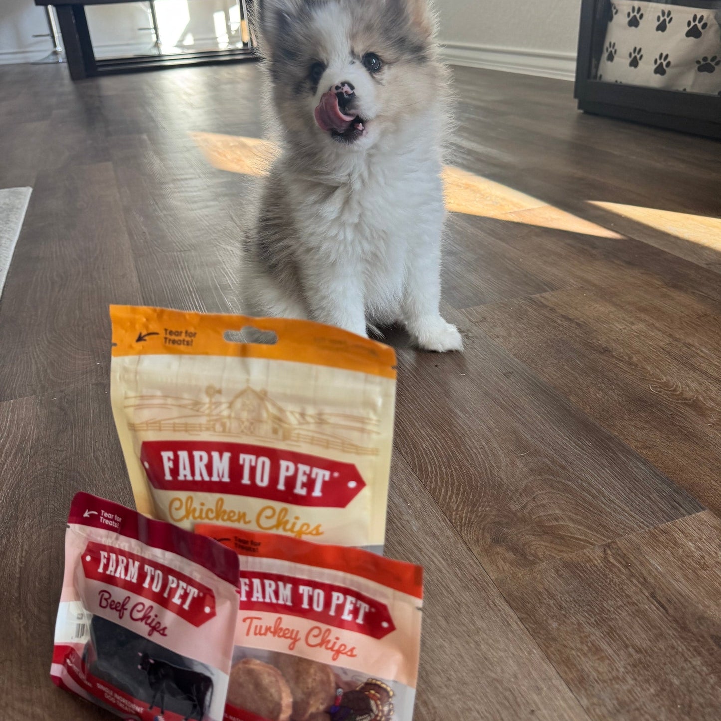 Puppy Packs – Dog Treat Starter Bundle | All 4 Flavors | Single-Ingredient | Made in USA