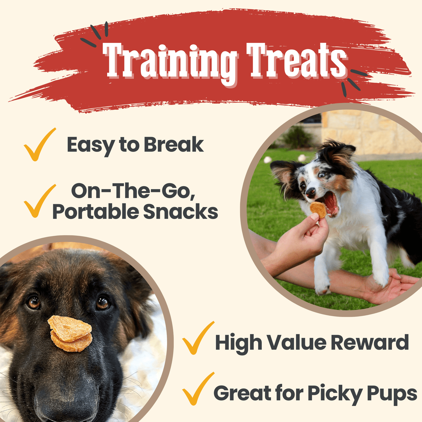 Chicken Chips for Dogs – Single-Ingredient, 80% Protein | Human-Grade | Made in USA